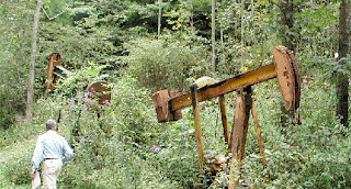 oil in forest