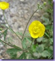 mini_DSC07838
