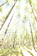 IMG_4565