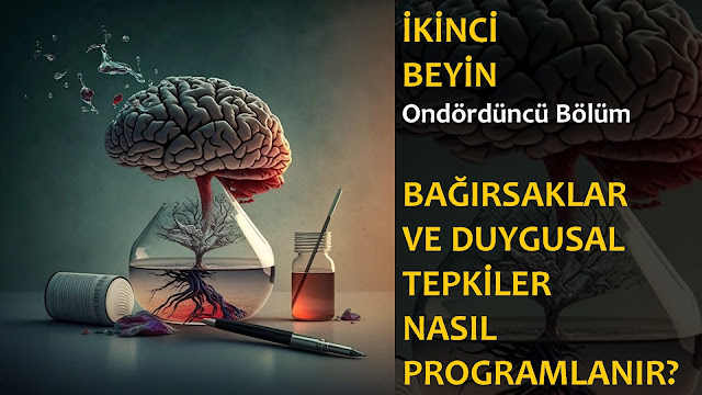 Bağırsaklar ve Duygusal Tepkiler Nasıl Programlanır? / İkinci Beyin Sesli Kitap 14