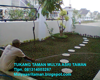 http://mulyaasritaman.blogspot.com/2015/09/tukang-taman-ragunan-jati-padang.html