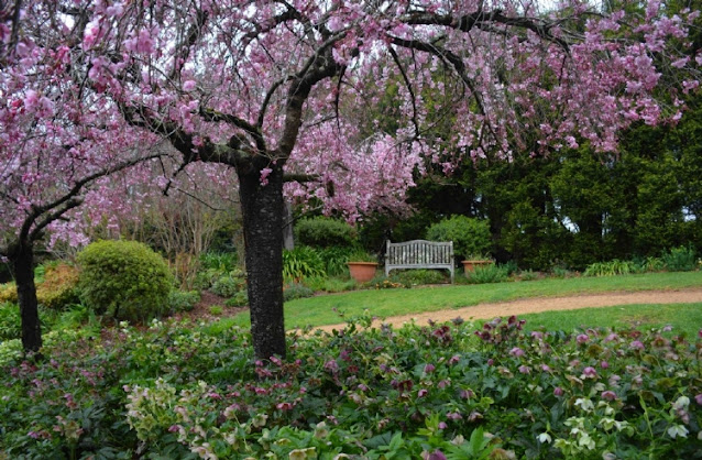 Wildwood Garden