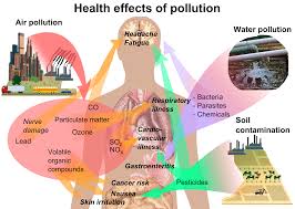 Effect of pollution on quality of life.