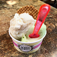 Eisbecher mit zwei Sorten Eis von Hokey Pokey, Prenzlauer Berg, Berlin