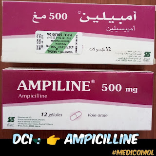 les antibiotiques penicilline ampicillines