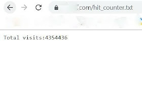 php hit counter without database