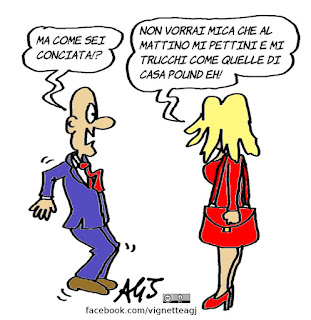 Casa Pound, Boschi, referendum costituzionale, fronte del No, ANPI vignetta, satira