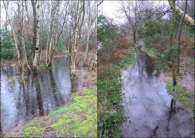 Flooding at Cleaver Heath