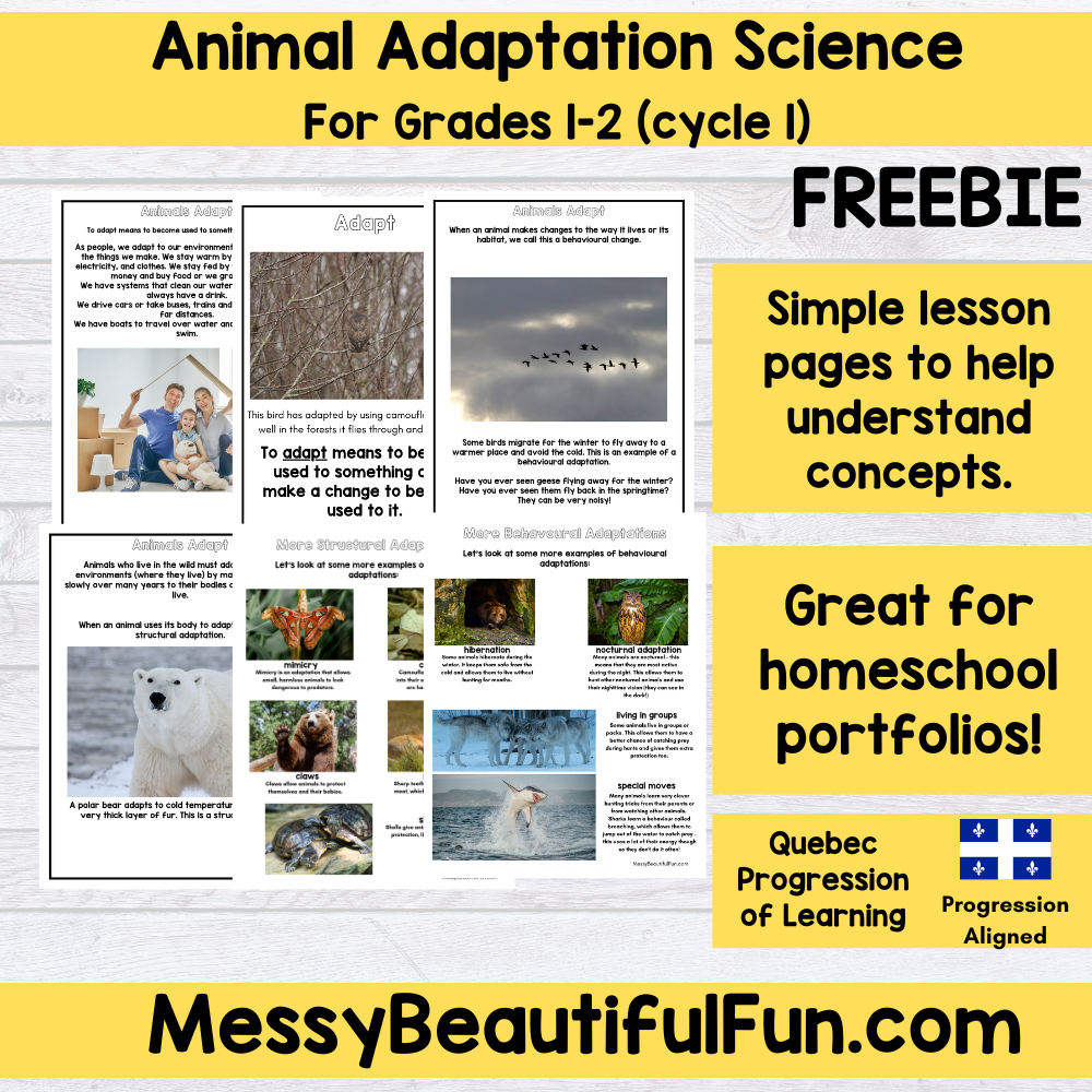 Messy, Beautiful, Fun: Animal Adaptations Science Free Journal Unit