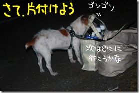 カズ便り１００８１６　３