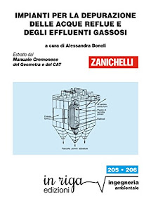 Impianti per la depurazione delle acque reflue e degli effluenti gassosi: Coedizione Zanichelli - in riga (in riga ingegneria Vol. 205)