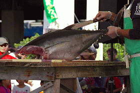 tuna fish being butchered