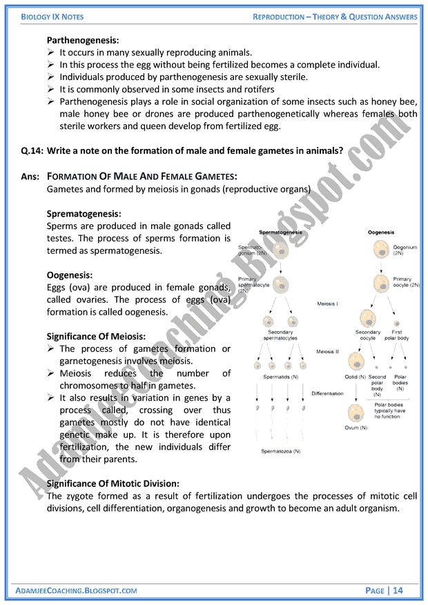 reproduction-theory-notes-and-question-answers-biology-notes-for-class-9th