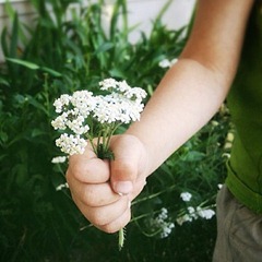 flowers1