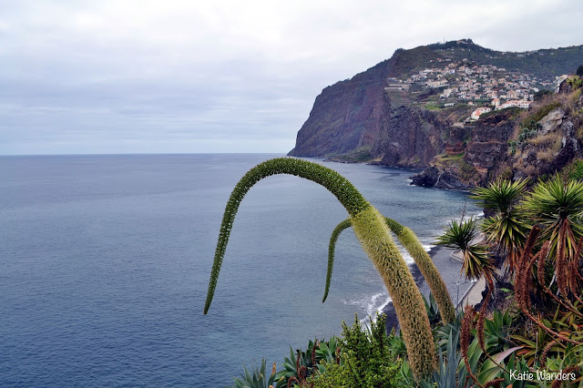 Western Shoreline of Madeira