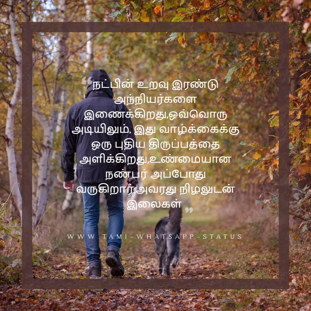 friendship quotes in tamil