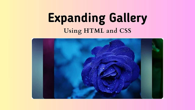 Create a Expanding Image Gallery with Simple HTML & CSS