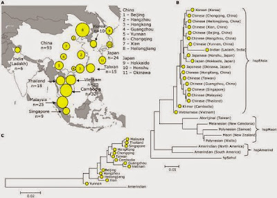 Helicobacter pylori in Asia map