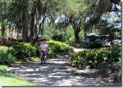 Shady area at Lazy Days