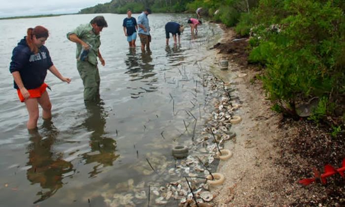 Researchers target sea level rise to save years of archaeological evidence