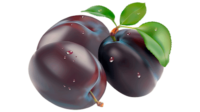 plum fruits clipart