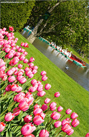 Boston Public Garden en Primavera