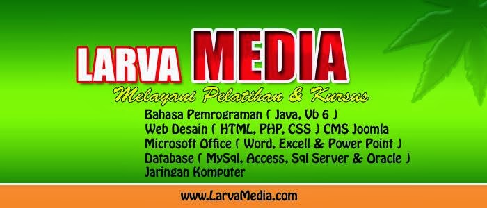 Larva Media Company Profile