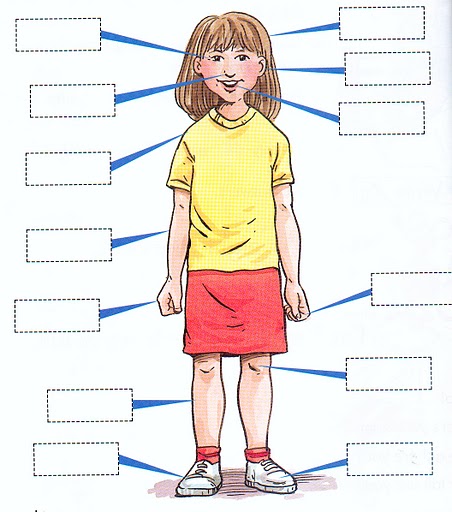 PARTS OF THE BODY MATCHING POSTER GAME Instructions