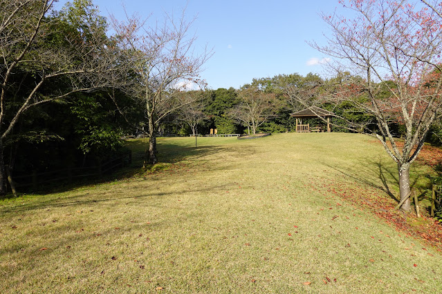 島根県松江市大垣町　松江フォーゲルパーク　芝生け広場