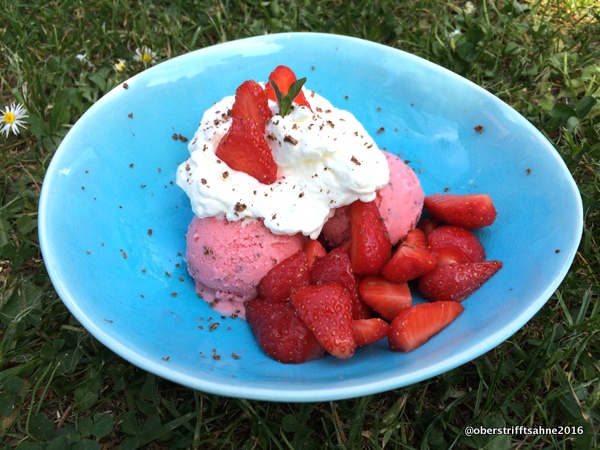 Erdbeer-Joghurt Eis mit Minze und Schokolade