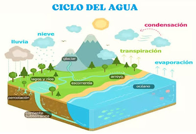 El Ciclo del Agua en imagen para imprimir