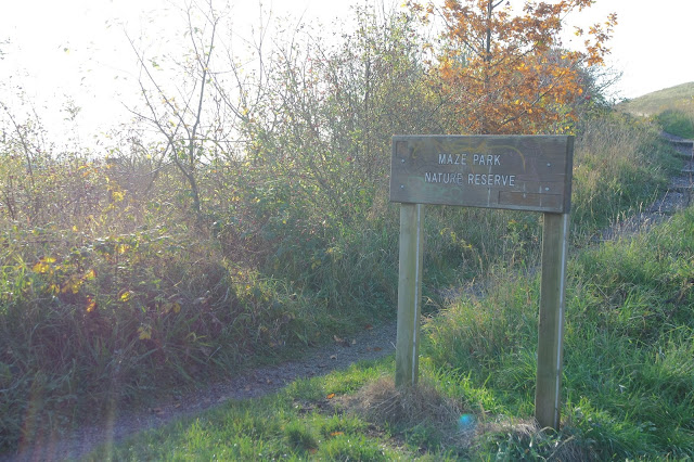 Dog Walk -Teesside - River Tees - Tees Barrage