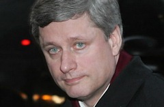stevesad