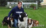 Jen and the dogs