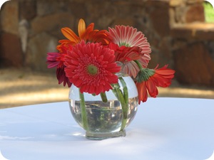 IMG_1901