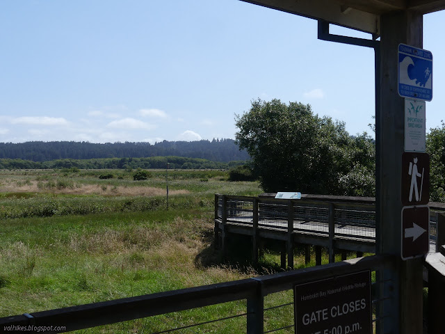 boardwalk down to the trail