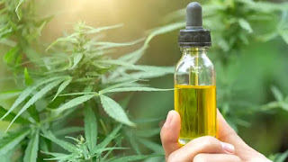 Usos del aceite medicinal del cannabis