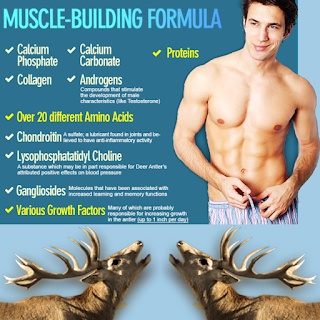 Velvet Deer Antler has been used in oriental medicine for centuries to increase sexual desire and improve sexual performance. Body builders have used Velvet Deer Antler to boost stamina and help maintain muscle health.