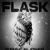 SPACE OWL - Flask