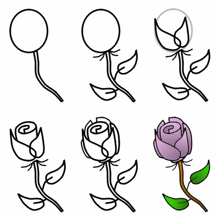 How To Draw Roses In Simple Steps