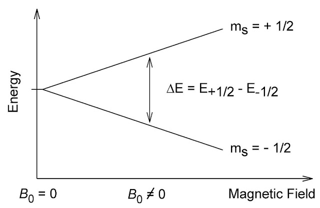 New Area of Magnetic Physics