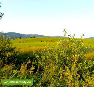 A może by tak rzucić wszystko i wyjechać w Bieszczady...