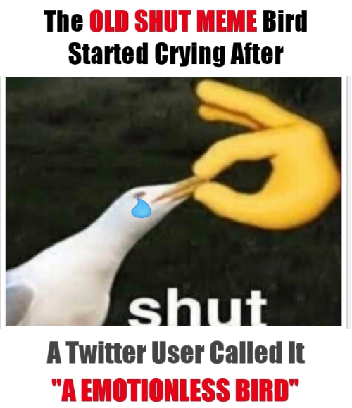 Shut Meme Bird Crying