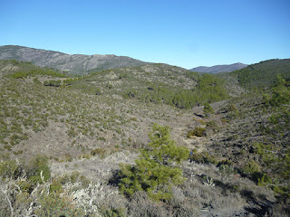 Panorámica desde Cuerda de Peña Grande