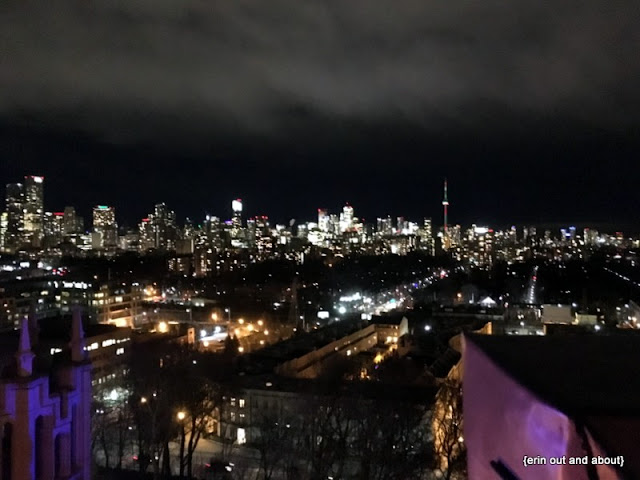 {Erin Out and About} Canadian Winterland Nights at Casa Loma