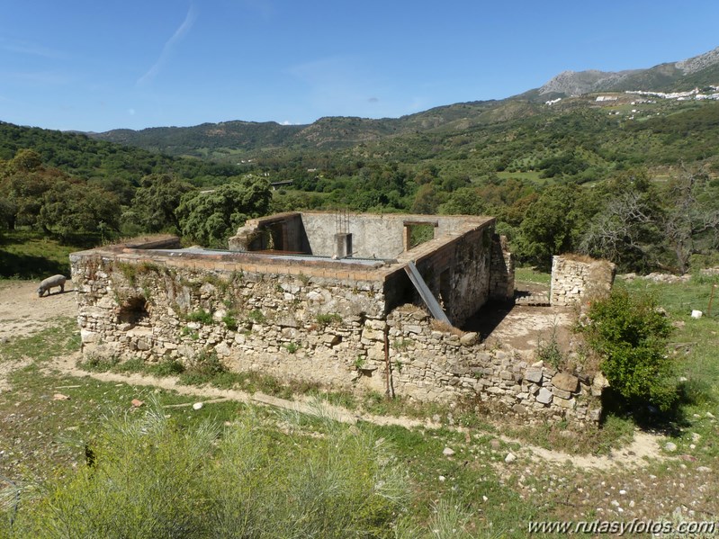 Estación de Cortes - Estación de Benaoján por el sendero del río Guadiaro