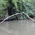 Le marais poitevin