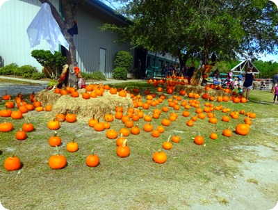  Arnette's Gulfside Stables and Campground.