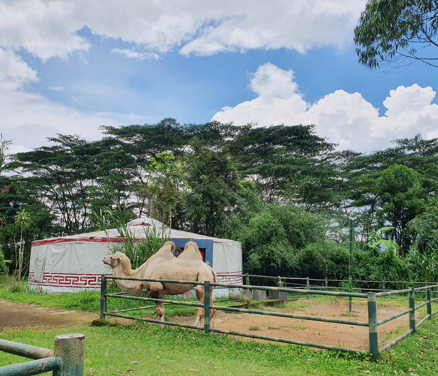 Taman Safari Bogor