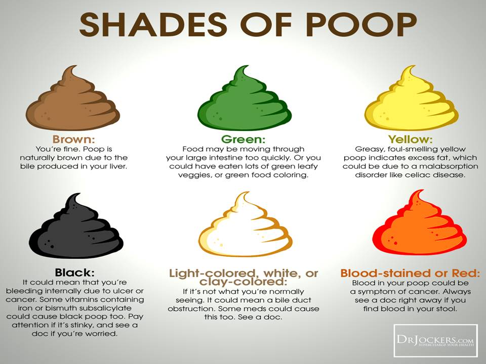 Color Of Poop Pictures To Pin On Pinterest Pinsdaddy Effy Moom Free Coloring Picture wallpaper give a chance to color on the wall without getting in trouble! Fill the walls of your home or office with stress-relieving [effymoom.blogspot.com]